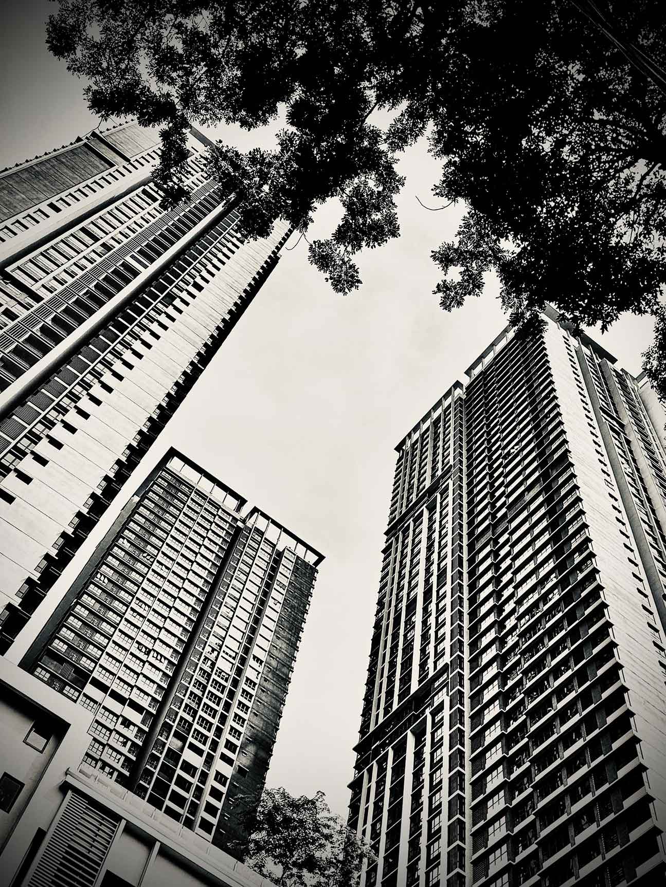 sunway-belfield-img16